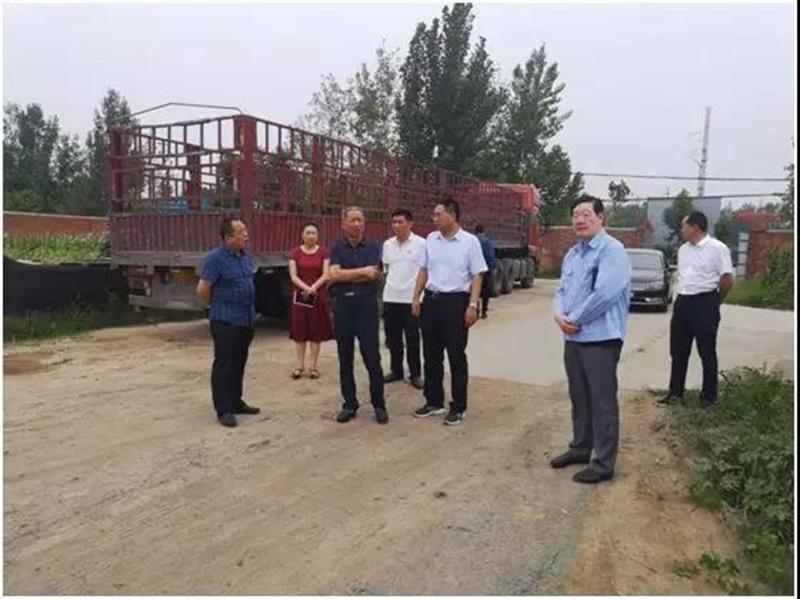 张弓一行莅临高新区调研神鹰化工固体光气项目