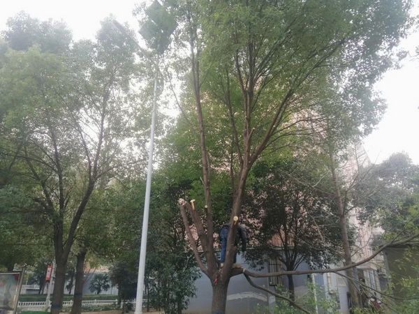 微信图片_20230106084125.jpg