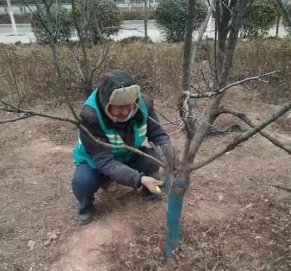 微信图片_20230210084153.jpg