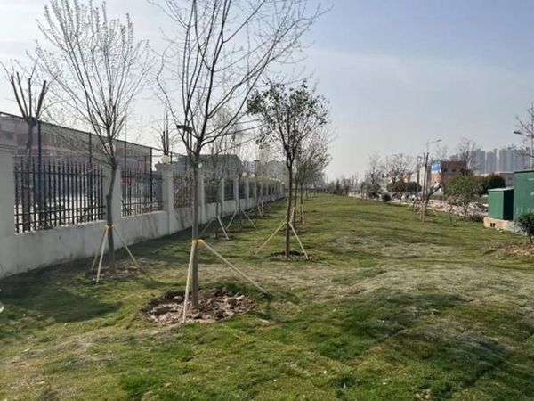 微信图片_20230310170822.jpg