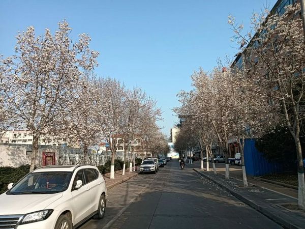 微信图片_20230316160059.jpg
