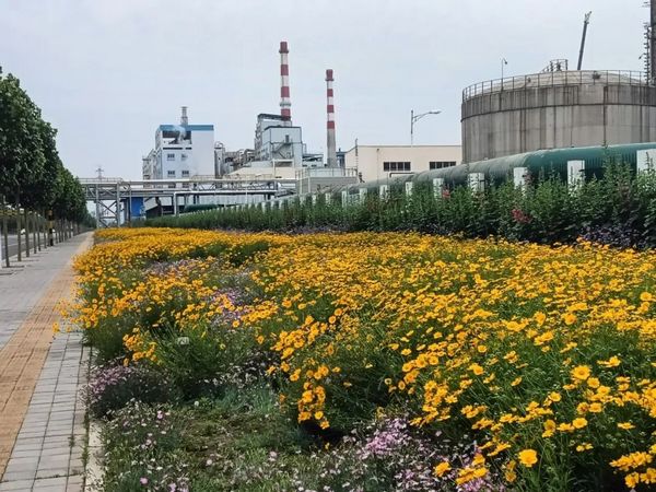 微信图片_20230508081014.jpg