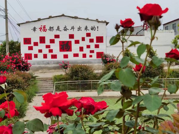 微信图片_20230626081143.jpg