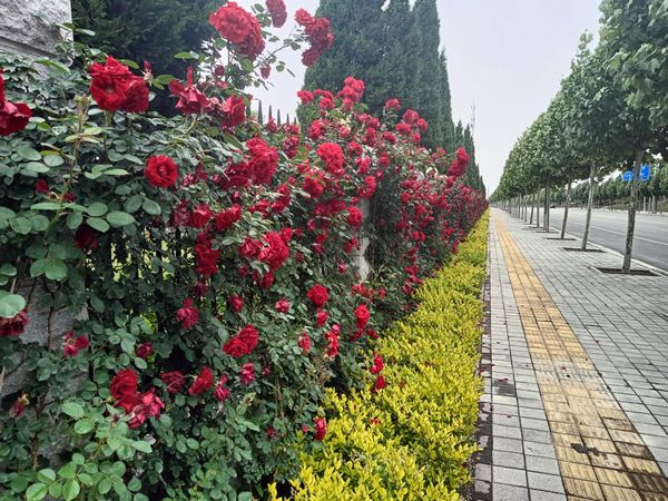 微信图片_20230707094649.jpg