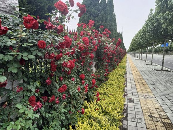 微信图片_20240111181810.jpg