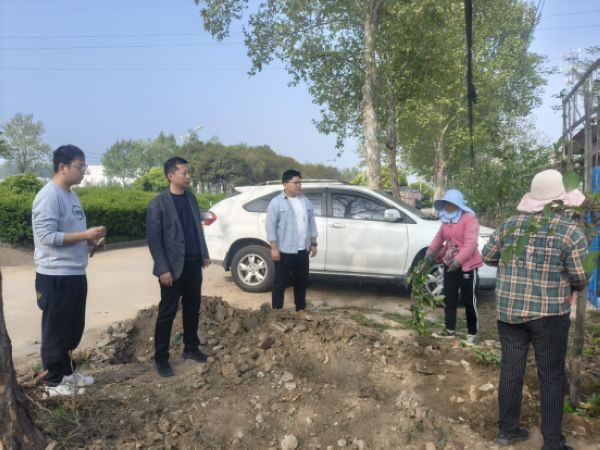图片4.jpg