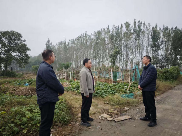 图片4.jpg 图片4.jpg