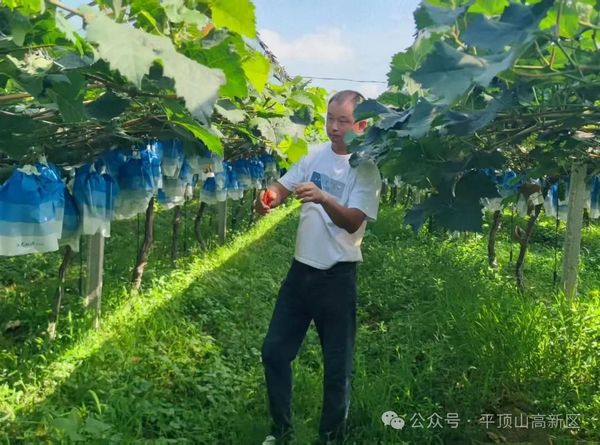 微信图片_20250711105614.jpg