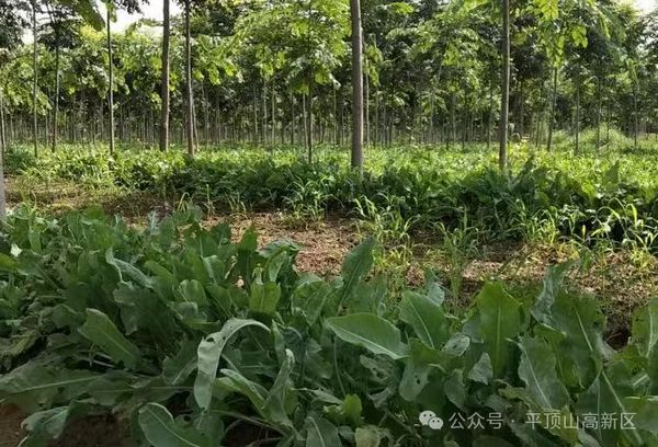微信图片_20250819092558.jpg